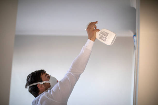 Best Preventive Mold Services in Lilburn, GA